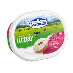 Fromage à la crème allégé (copia)